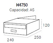 Evolution Doble modelo.jpg